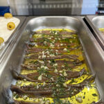Anchoa del Cantábrico en aceite de oliva
