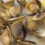 Berberechos a la plancha